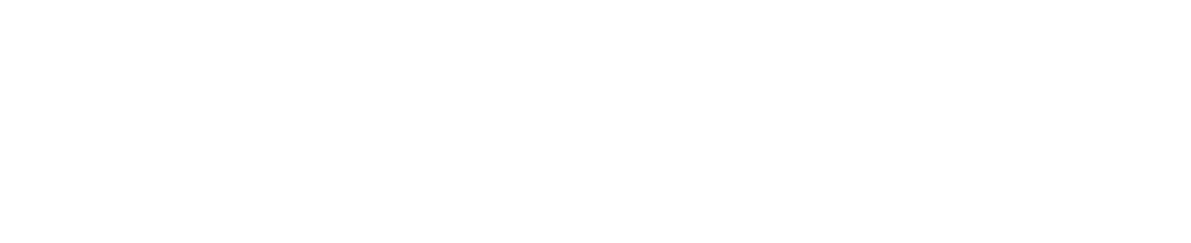 StefanZettl_Logo_RGB_weiss